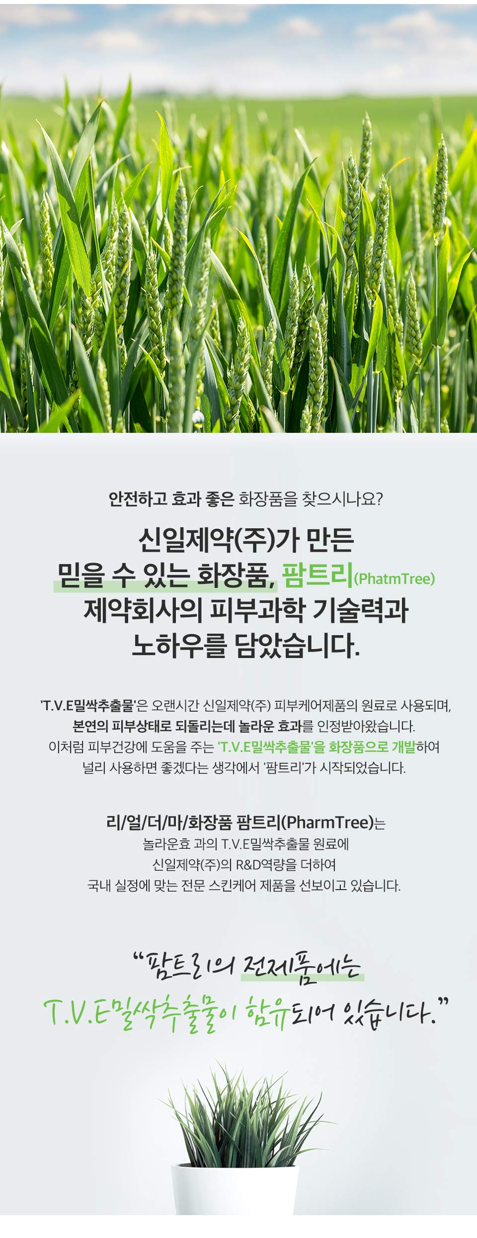 스티모시카 캘러스 앰플 (50ml)_상세3.jpg