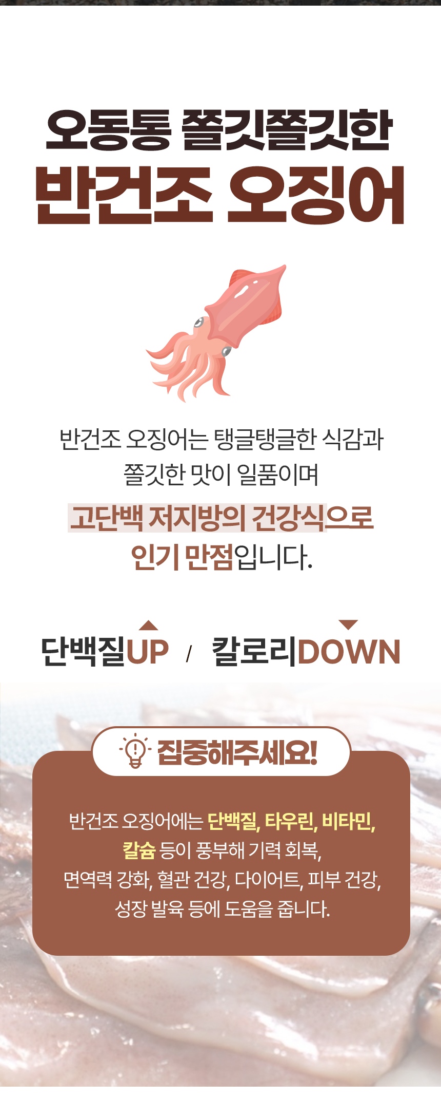 반건조오징어-상세페이지_02.png