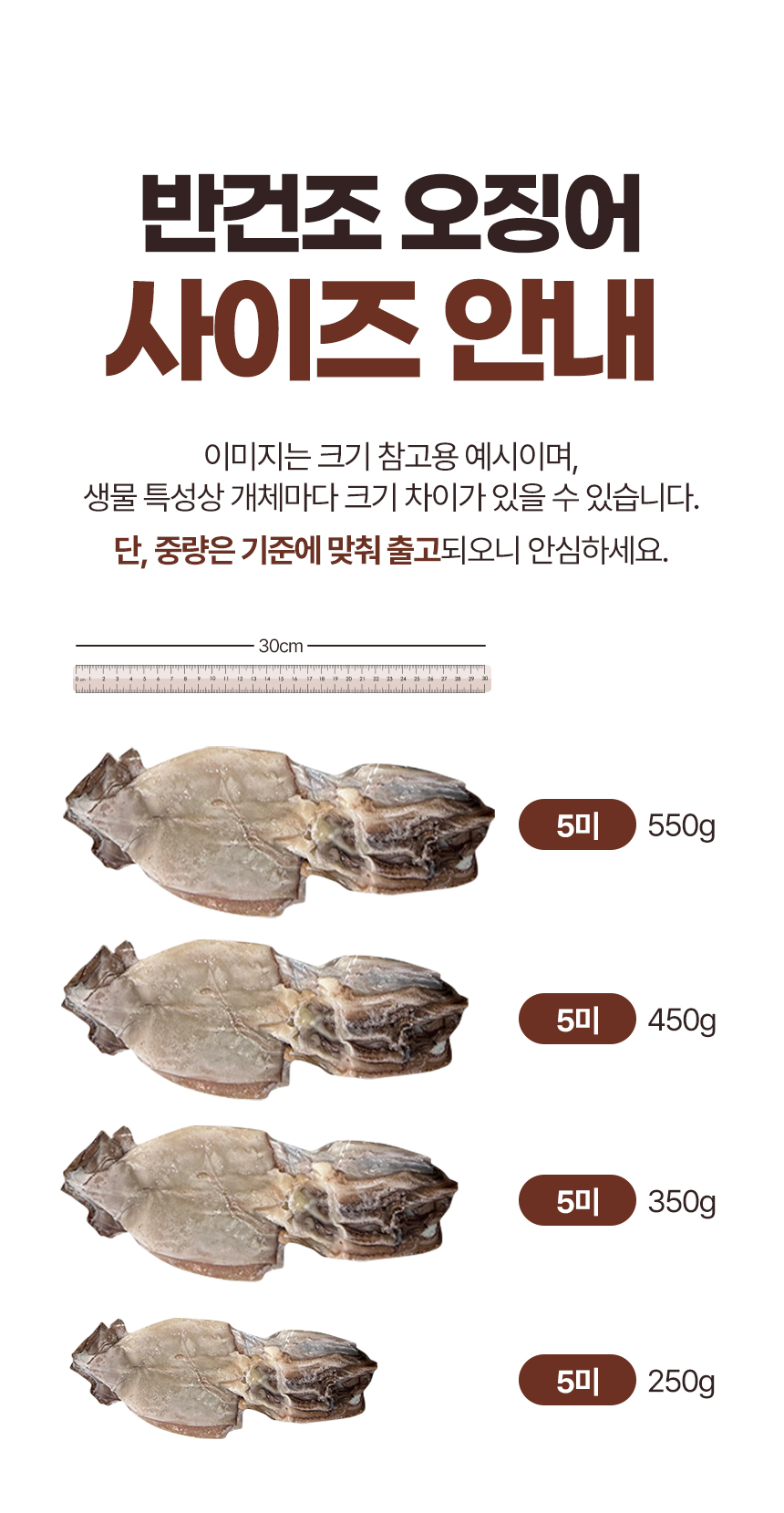 반건조오징어-상세페이지_04.png