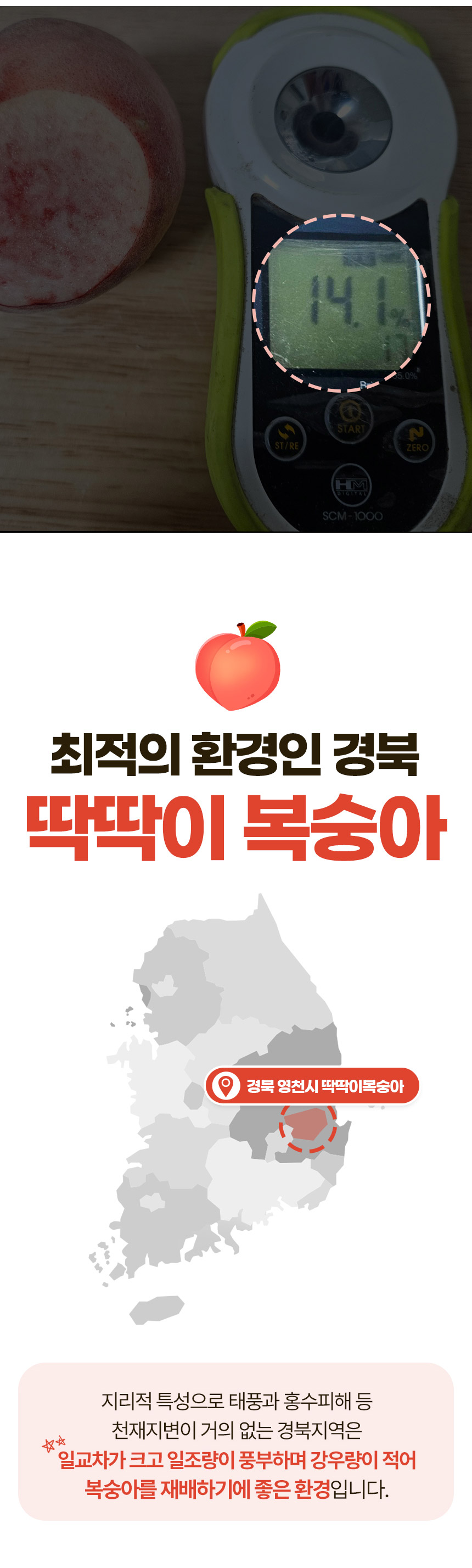 딱딱이-복숭아-상세페이지_03.jpg