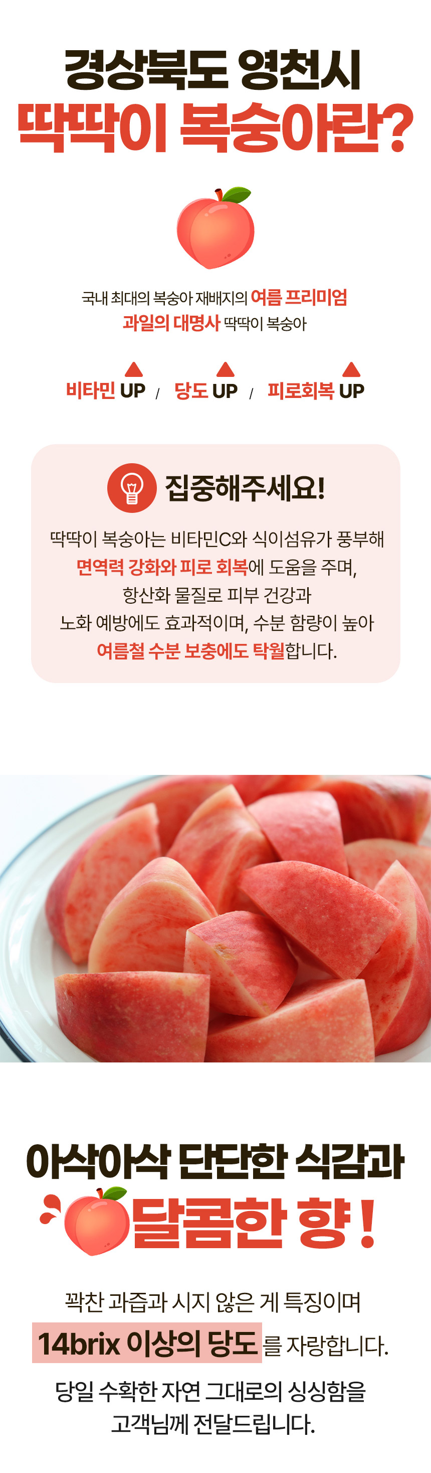 딱딱이-복숭아-상세페이지_02.jpg