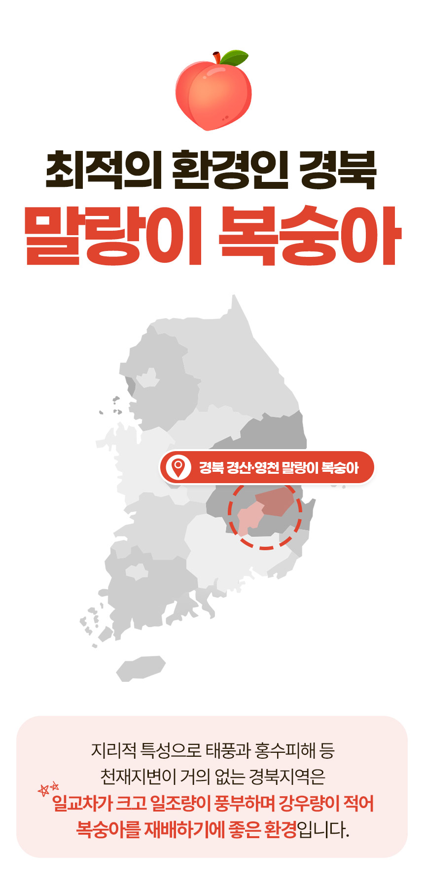 말랑이-털복숭아-상세페이지_04.jpg