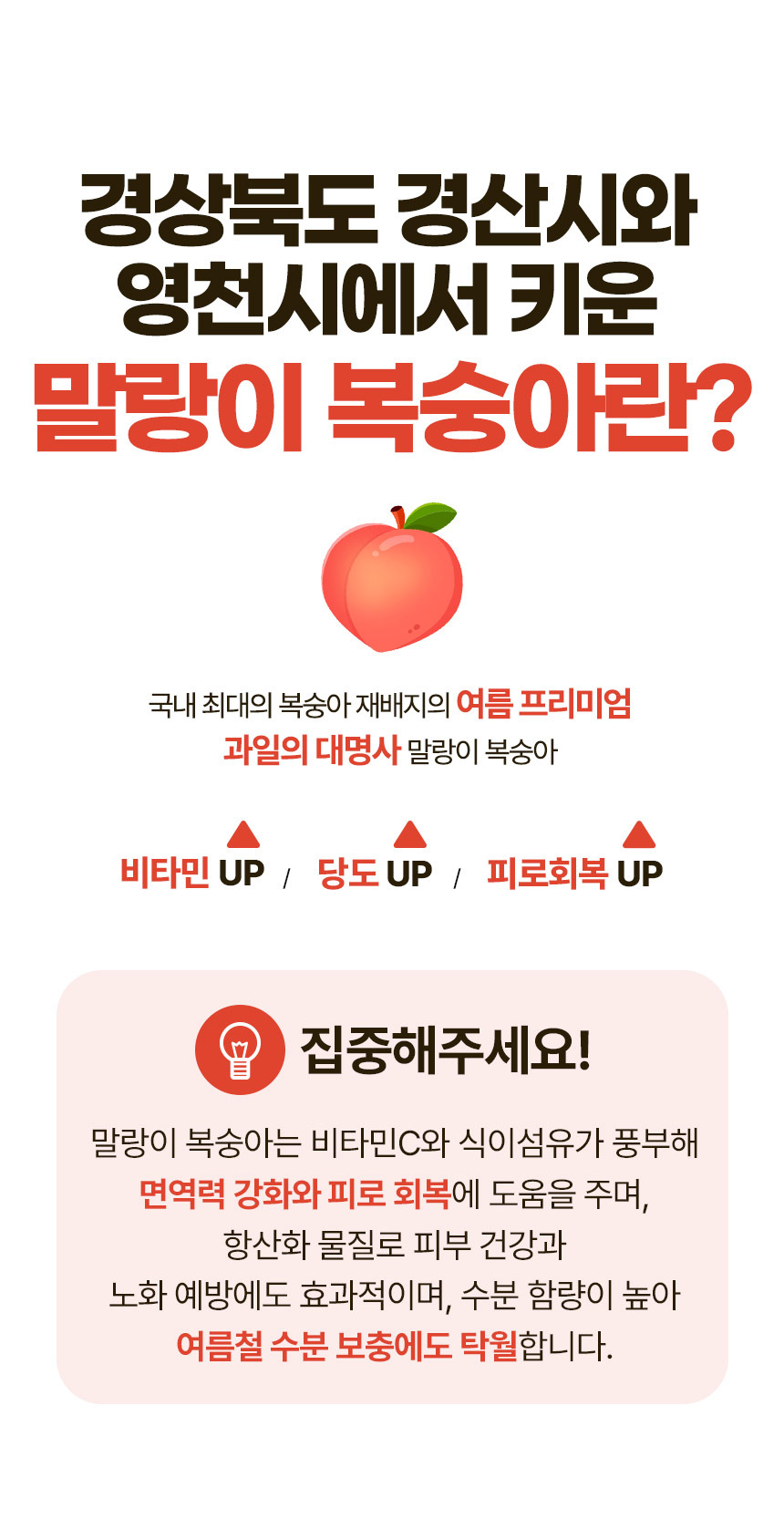 말랑이-털복숭아-상세페이지_02.jpg