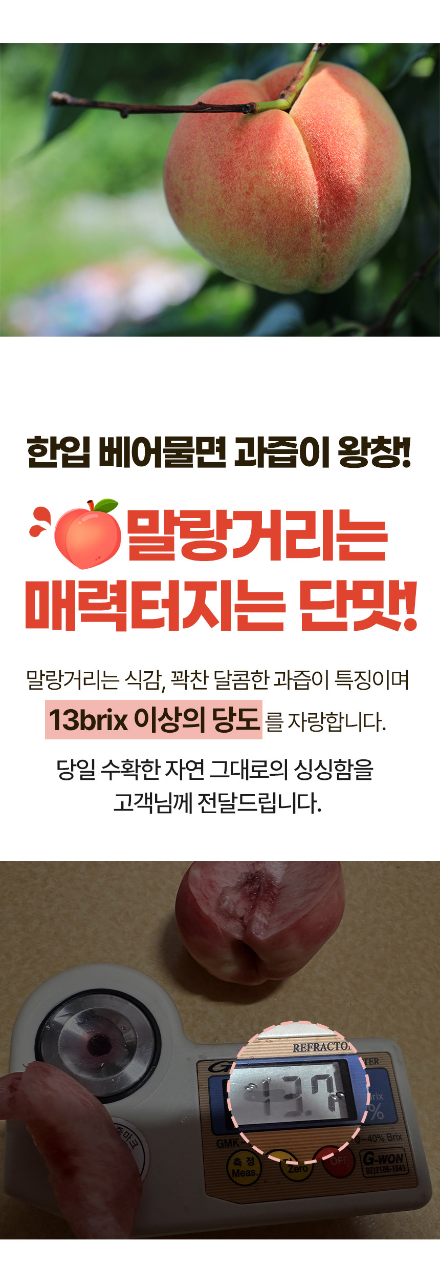 말랑이-털복숭아-상세페이지_03.jpg