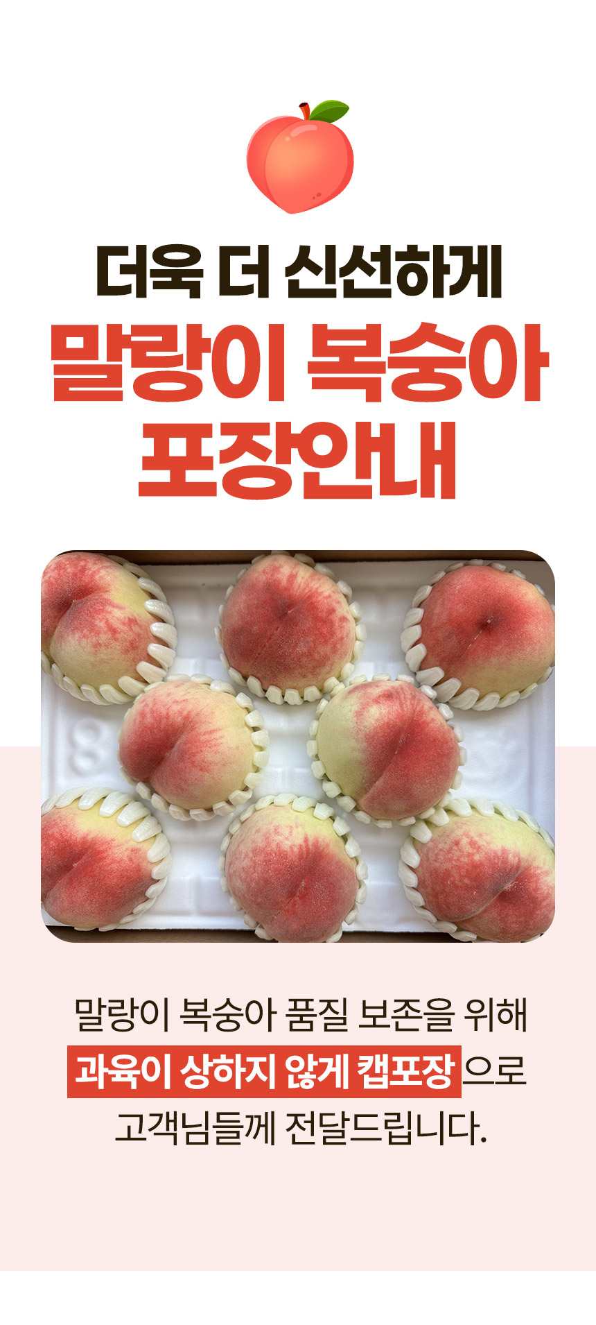 말랑이-털복숭아-상세페이지_08.jpg