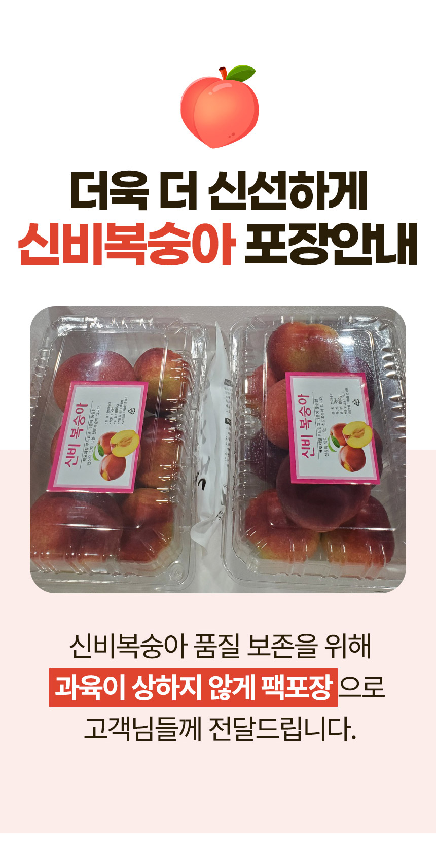 신비복숭아-상세페이지_10.jpg