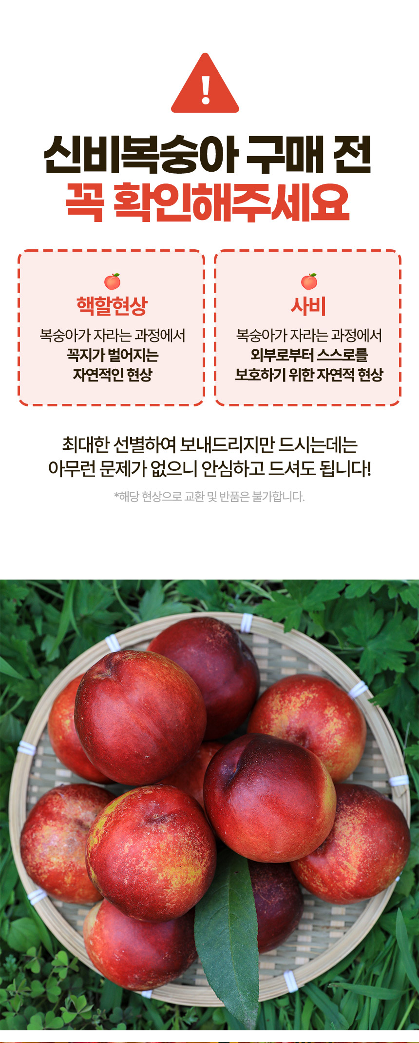 신비복숭아-상세페이지_07.jpg