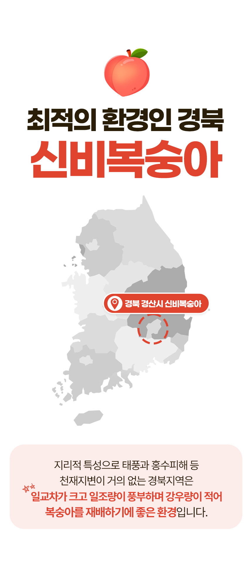 신비복숭아-상세페이지_05.jpg