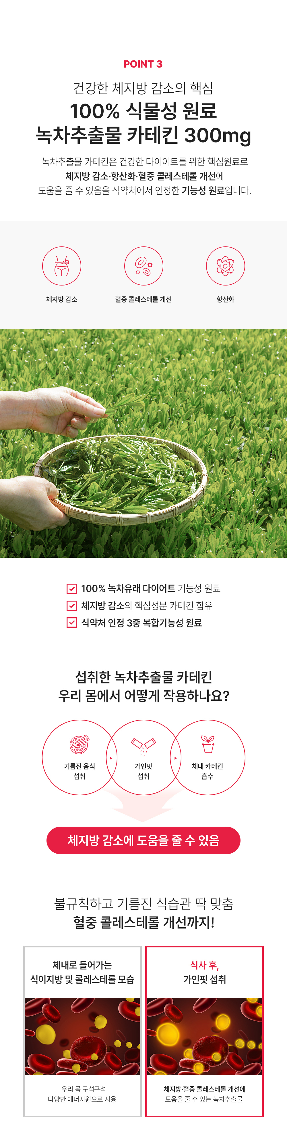 image_5.png