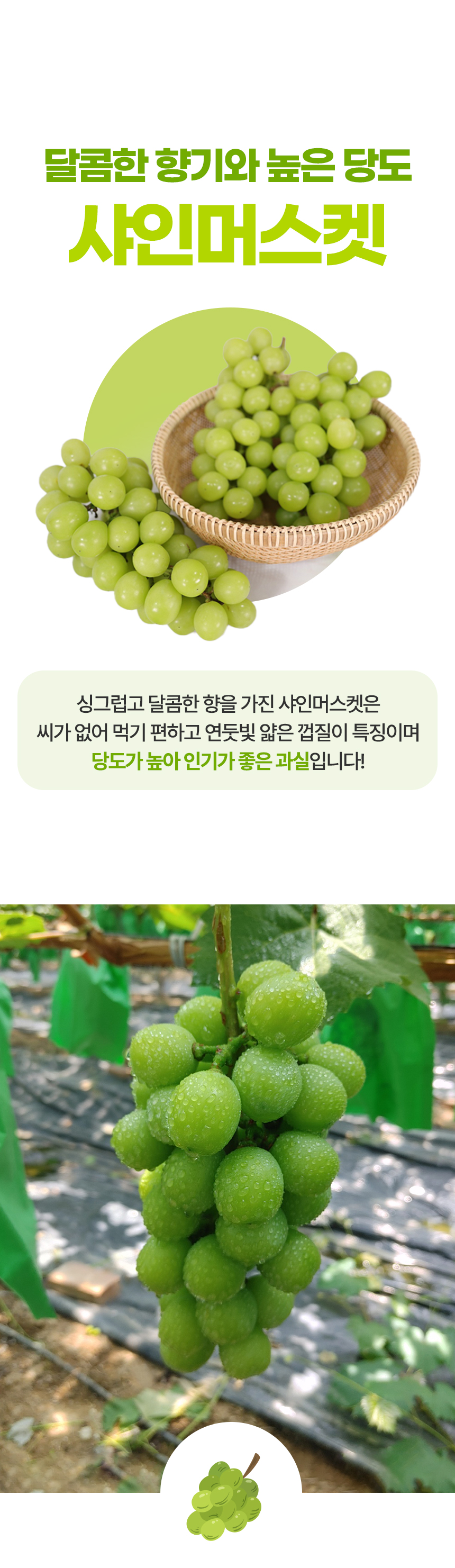 상세페이지_02.png