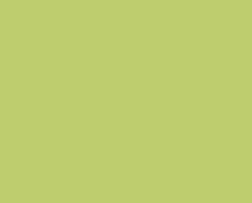 Cufam-C10_06.gif