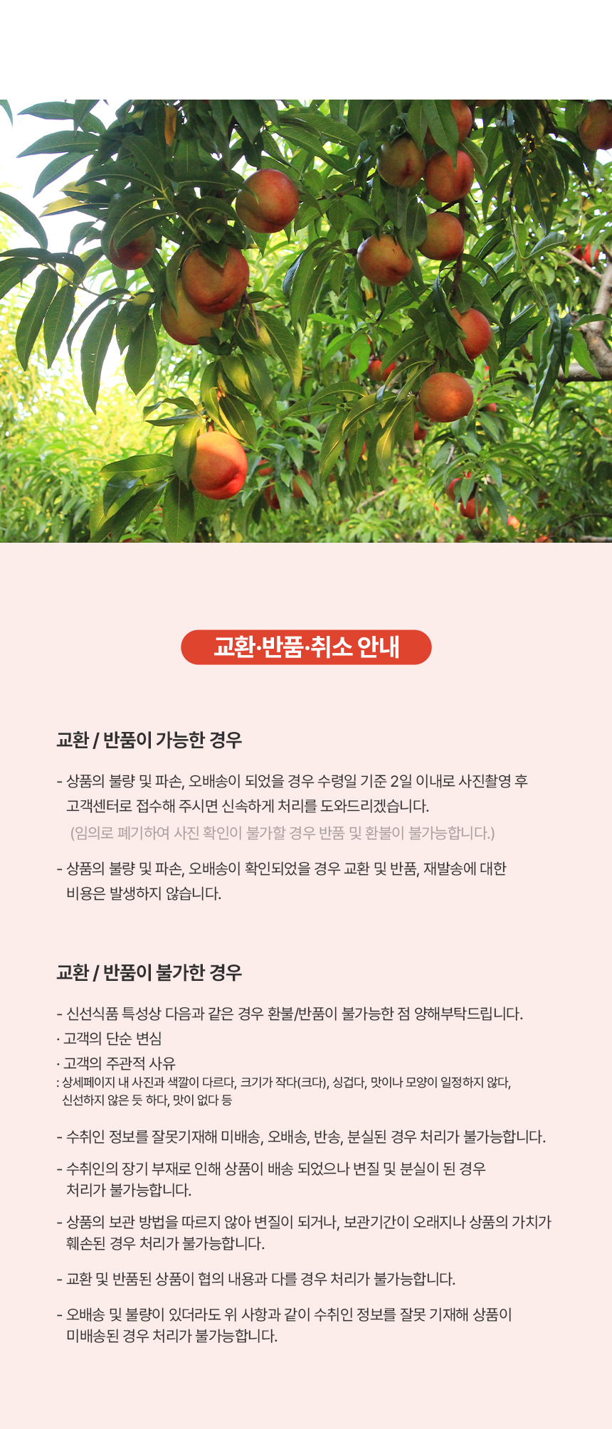 망고복숭아-상세페이지_04.png
