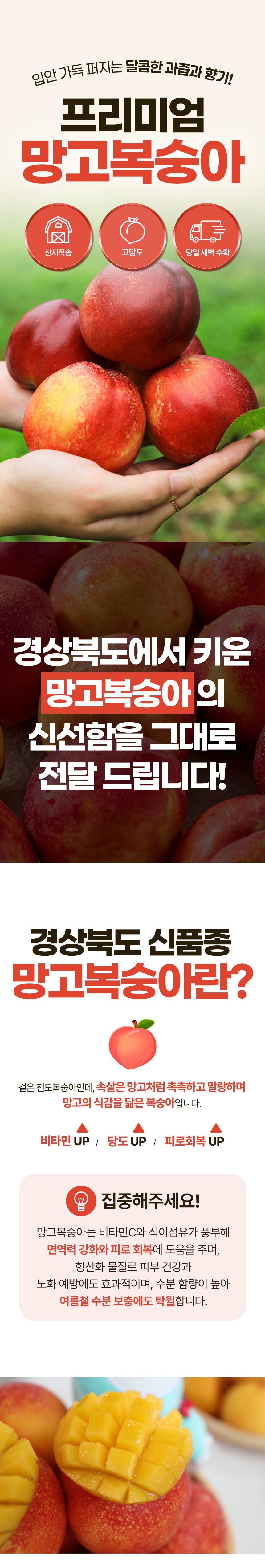 망고복숭아-상세페이지_01.png