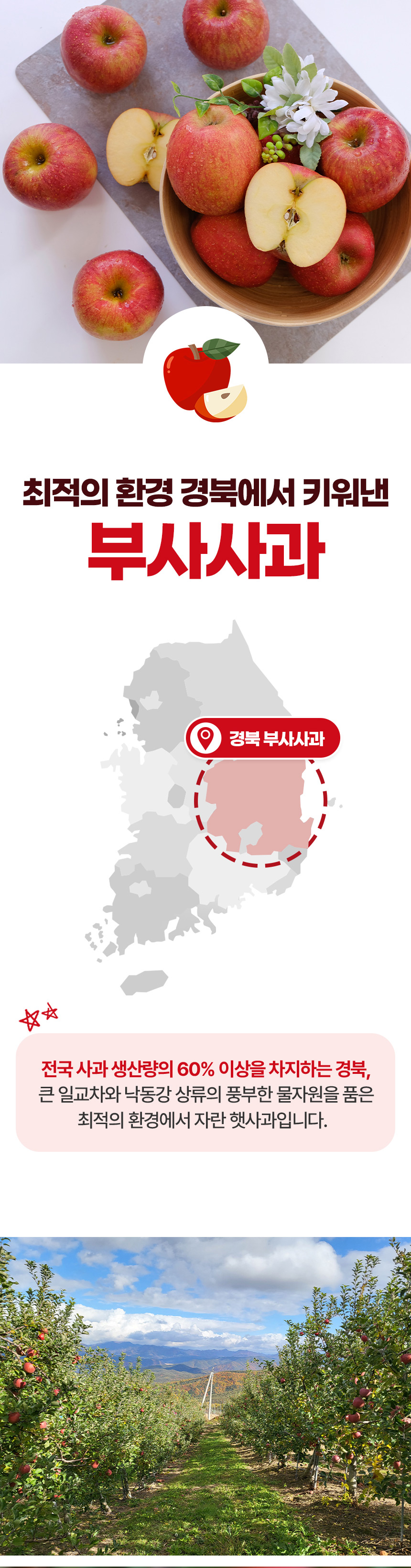 (가정용)-부사사과-상세페이지_03.jpg