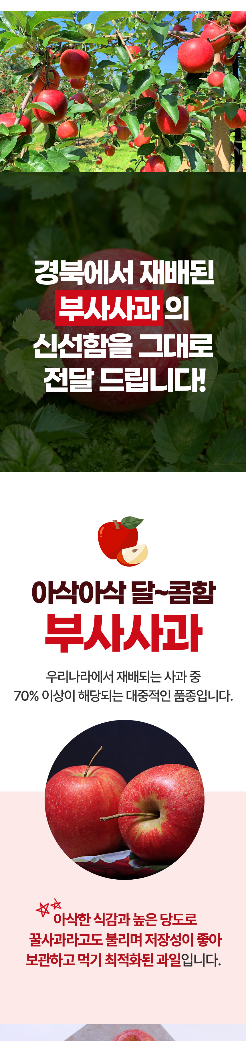 (가정용)-부사사과-상세페이지_02.jpg