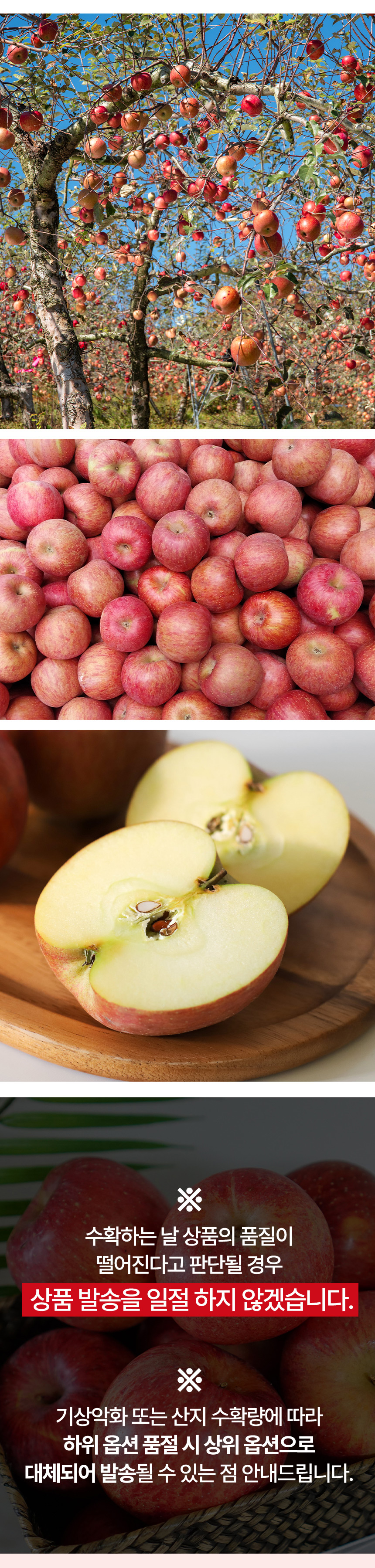 (가정용)-부사사과-상세페이지_06.jpg