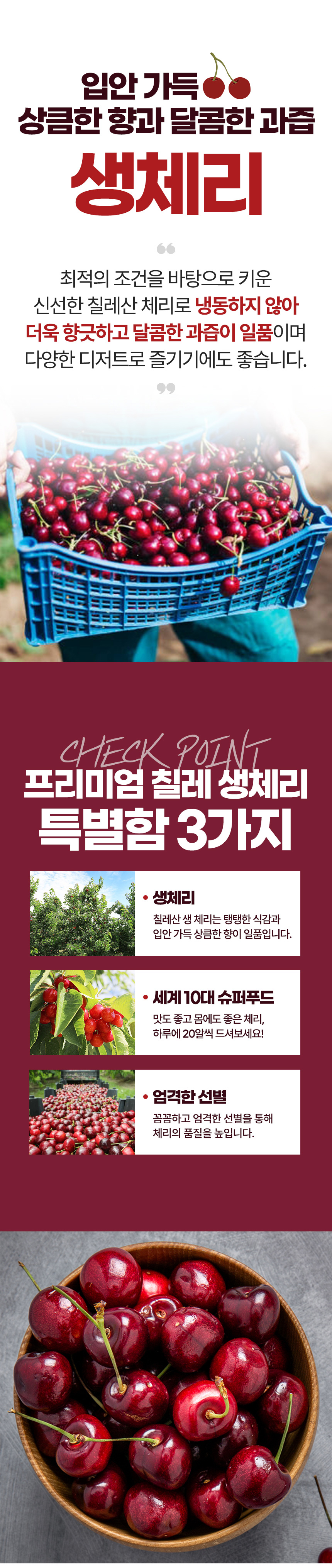 체리-상세페이지_03.jpg