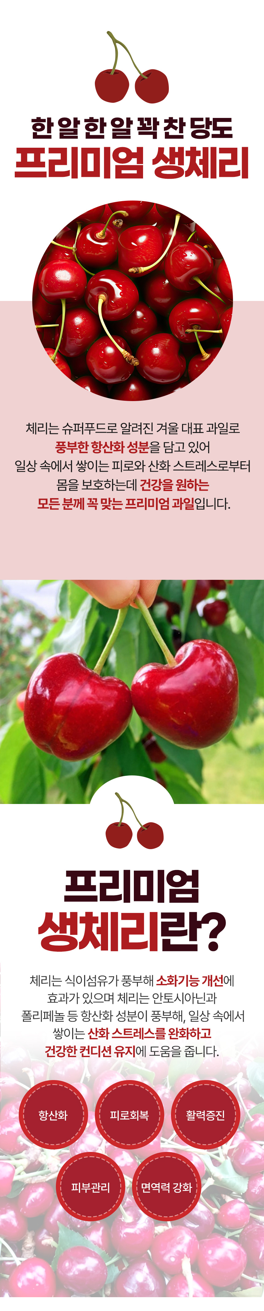 체리-상세페이지_02.jpg