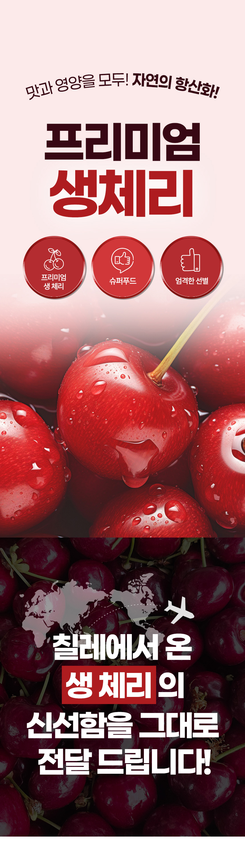 체리-상세페이지_01.jpg