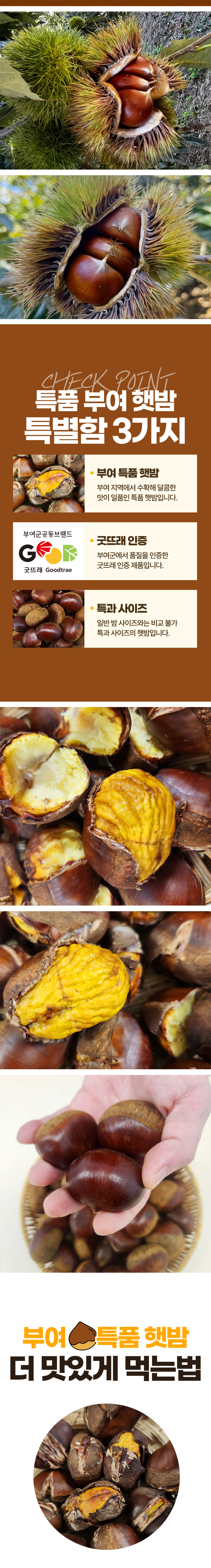 굿뜨레-햇밤-상세페이지_03.jpg