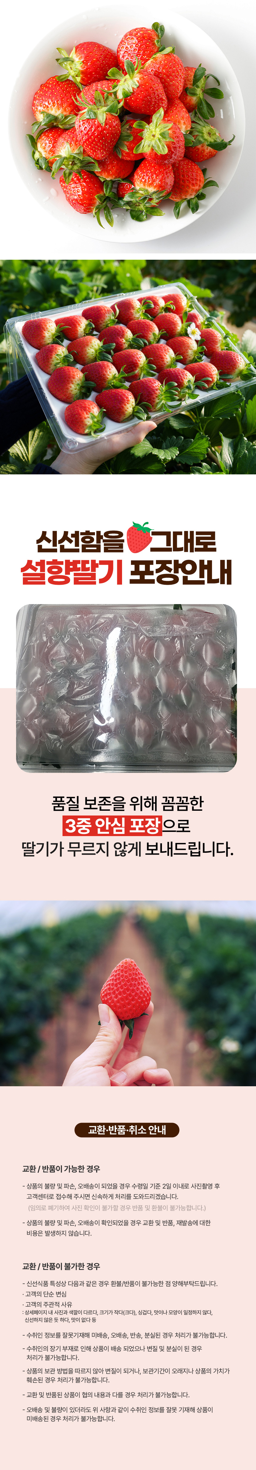 설향딸기-상세페이지_04.jpg