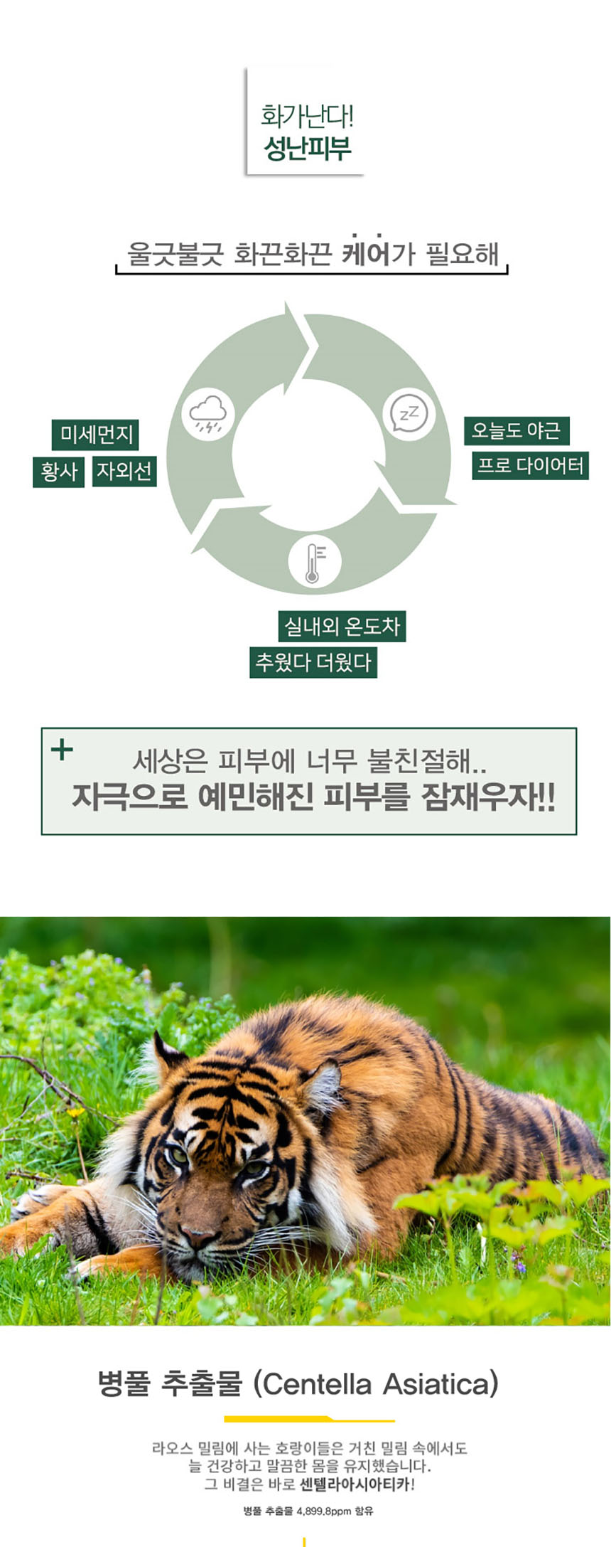 상세5.jpg